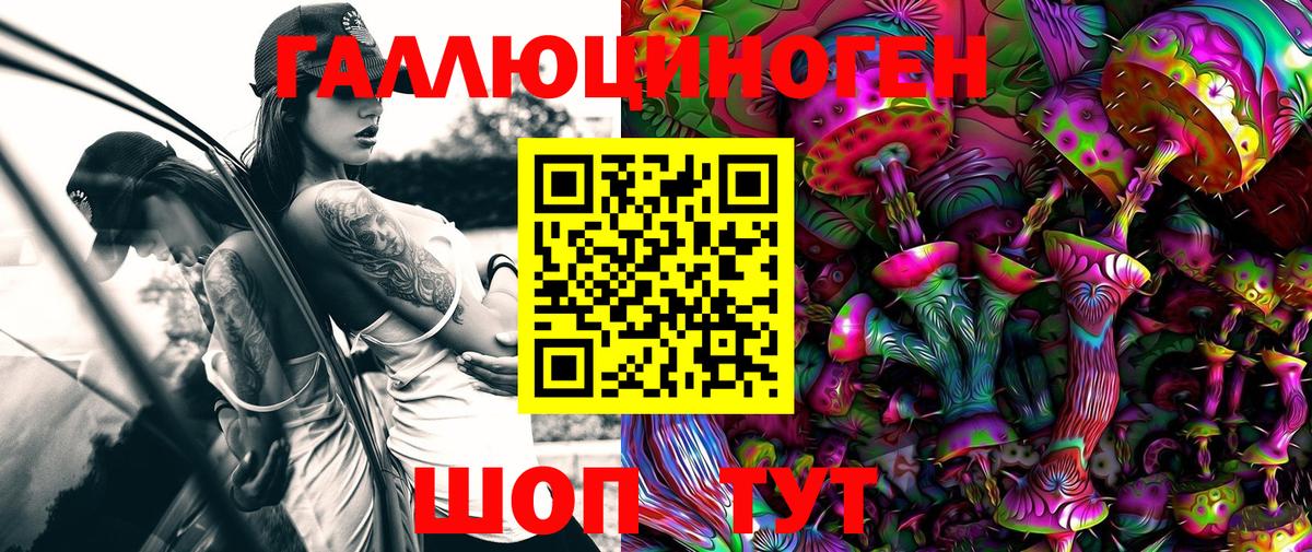 Галлюциногенные грибы GOLDEN TEACHER  Псилоцибиновые грибы мицелий  Екатеринбург  Вход с VPN 