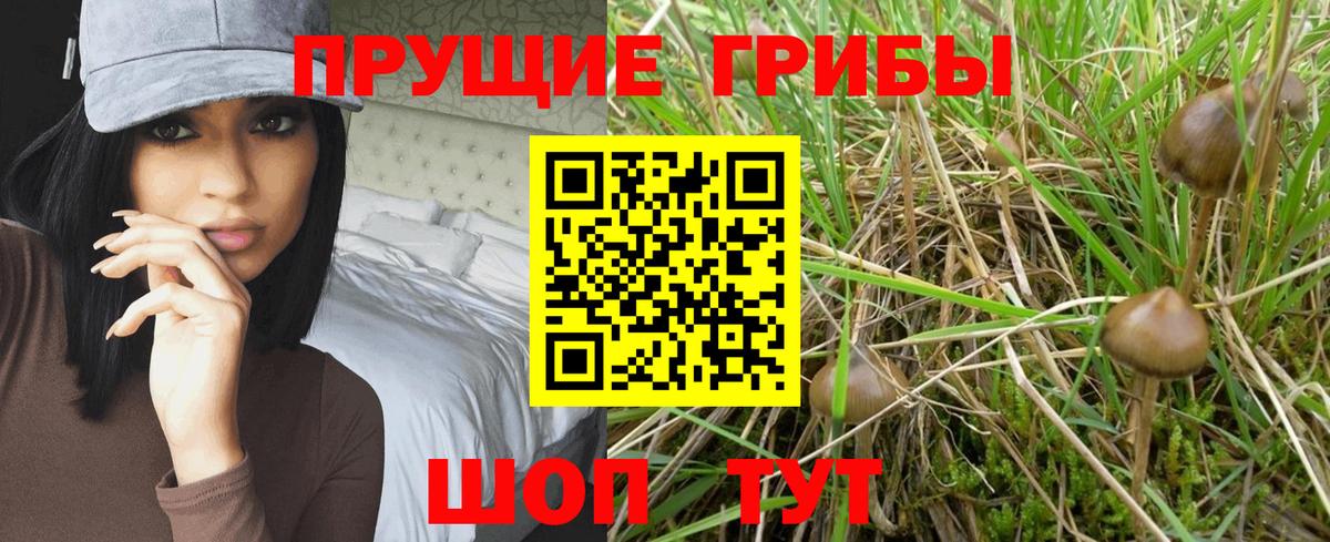 Галлюциногенные грибы мицелий Екатеринбург